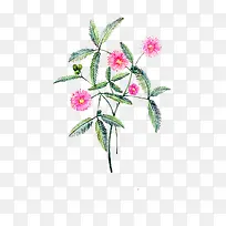 唯美手绘鲜花-空若网 唯美手绘鲜花-空若网