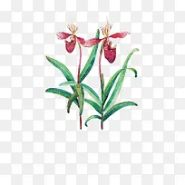 Ψ���ֻ��ʻ�-������