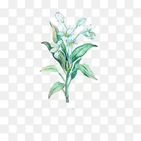 唯美手绘鲜花-空若网 唯美手绘鲜花-空若网