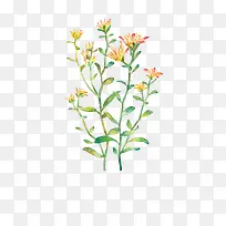 唯美手绘鲜花-空若网 唯美手绘鲜花-空若网