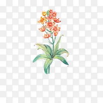 唯美手绘鲜花-空若网 唯美手绘鲜花-空若网