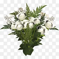 花卉插画花草图案素材-空若网 花卉插画花草图案素材-空若网