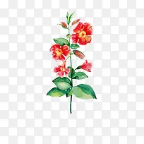 ΨÃÀÊÖ»æÏÊ»¨-¿ÕÈôÍø ΨÃÀÊÖ»æÏÊ»¨-¿ÕÈôÍø