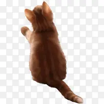 ���������ز�ʸ�������ز�-������