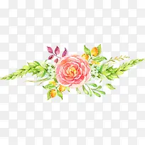 水彩花卉-空若网 水彩花卉-空若网