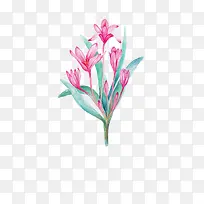 Ψ���ֻ��ʻ�-������