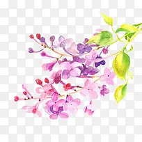 唯美手绘鲜花-空若网 唯美手绘鲜花-空若网