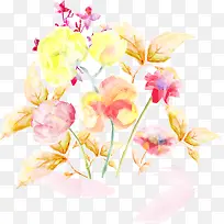 水彩花卉-空若网 水彩花卉-空若网