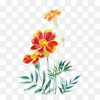 唯美手绘鲜花-空若网 唯美手绘鲜花-空若网