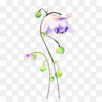 唯美手绘鲜花-空若网 唯美手绘鲜花-空若网