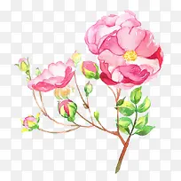 ΨÃÀÊÖ»æÏÊ»¨-¿ÕÈôÍø ΨÃÀÊÖ»æÏÊ»¨-¿ÕÈôÍø