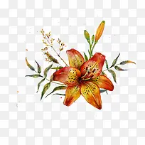 创意水彩花卉-空若网 创意水彩花卉-空若网