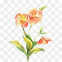 Ψ���ֻ��ʻ�-������