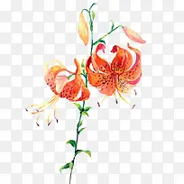 唯美手绘鲜花-空若网 唯美手绘鲜花-空若网