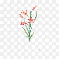 唯美手绘鲜花-空若网 唯美手绘鲜花-空若网