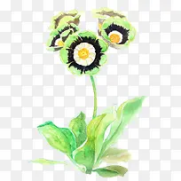 唯美手绘鲜花-空若网 唯美手绘鲜花-空若网