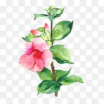 Ψ���ֻ��ʻ�-������