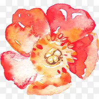 水彩花卉-空若网 水彩花卉-空若网