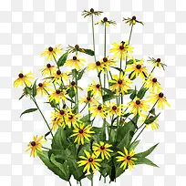 花卉矢量素材手绘花草素材-空若网 花卉矢量素材手绘花草素材-空若网