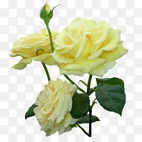 �ֻ�-������