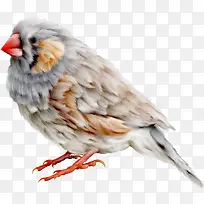 花草图案素材水彩花草素材-空若网 花草图案素材水彩花草素材-空若网