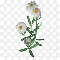 鲜花花草矢量花卉素材-空若网 鲜花花草矢量花卉素材-空若网