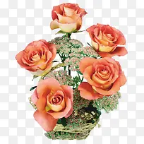 卡通鲜花花卉-空若网 卡通鲜花花卉-空若网