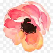 复古手绘花瓣-空若网 复古手绘花瓣-空若网