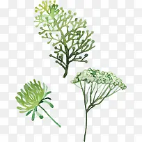 水彩手绘花卉-空若网 水彩手绘花卉-空若网