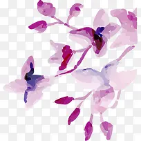 水彩花卉-空若网 水彩花卉-空若网