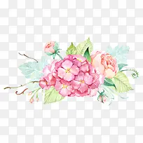 水彩花卉-空若网 水彩花卉-空若网