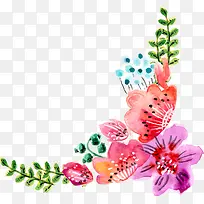 手绘水彩花卉-空若网 手绘水彩花卉-空若网