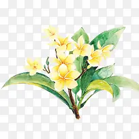 Ψ���ֻ��ʻ�-������