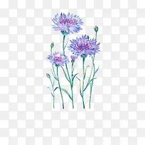 唯美手绘鲜花-空若网 唯美手绘鲜花-空若网