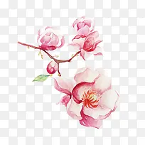 唯美手绘鲜花-空若网 唯美手绘鲜花-空若网