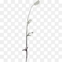 ����ʸ���زĻ���ͼ��-������