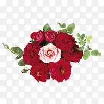 ˮ�ʻ��ܻ����ز�-������