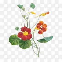 �ֻ�-������