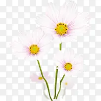 �ֻ�װ��ͼƬװ��ͼƬ�ز�-������