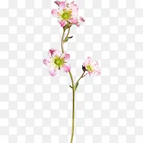 花草矢量素材花草图案-空若网 花草矢量素材花草图案-空若网