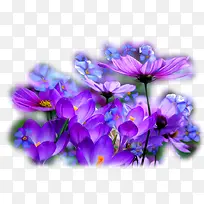 װ�ο�ͨˮ�ʻ����ز�-������