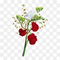 水彩花卉素材水彩花草素材-空若网 水彩花卉素材水彩花草素材-空若网