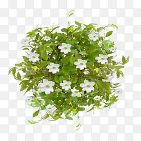 ¹ú»»¨²ÝËØ²Ä»¨²Ý»-¿ÕÈôÍø ¹ú»»¨²ÝËØ²Ä»¨²Ý»-¿ÕÈôÍø