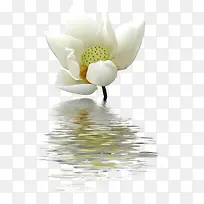 ˮ�ʻ���ps�����ز�-������