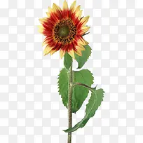 ˮ�ʻ���-������