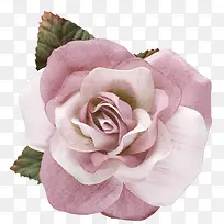 手绘花卉素材花草图片素材-空若网 手绘花卉素材花草图片素材-空若网