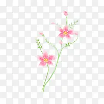 手绘水彩花卉-空若网 手绘水彩花卉-空若网