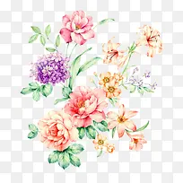 �ֻ滨��-������