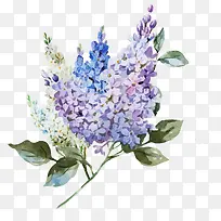 ˮ�ʻ���-������