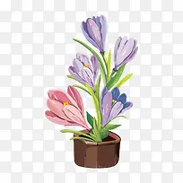 卡通手绘花花盆-空若网 卡通手绘花花盆-空若网